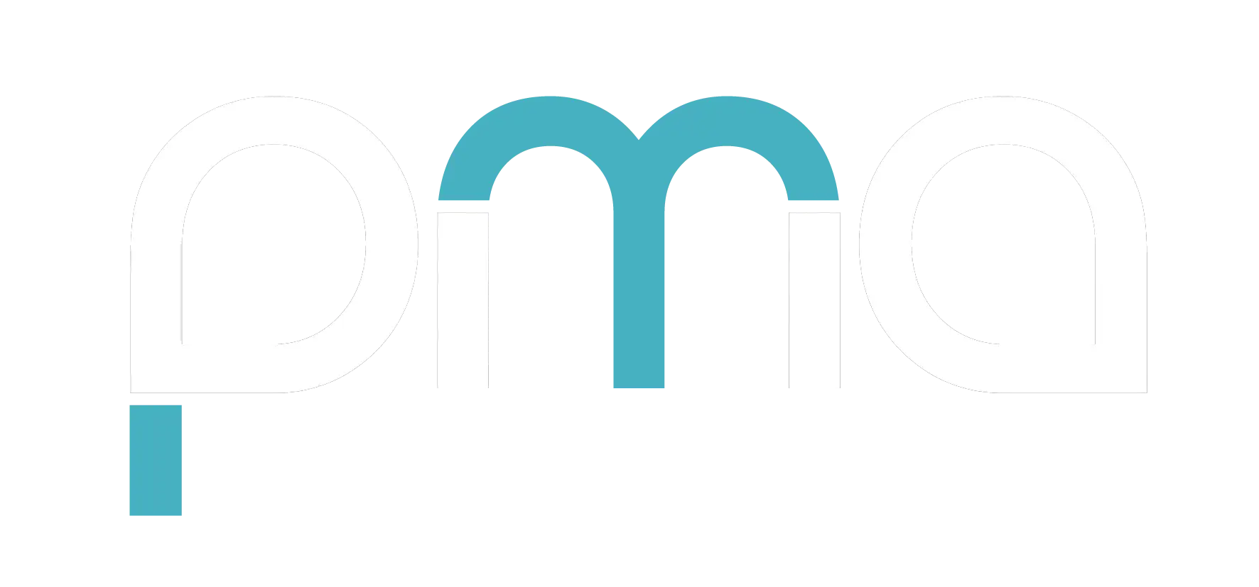 Performance Marketing Association