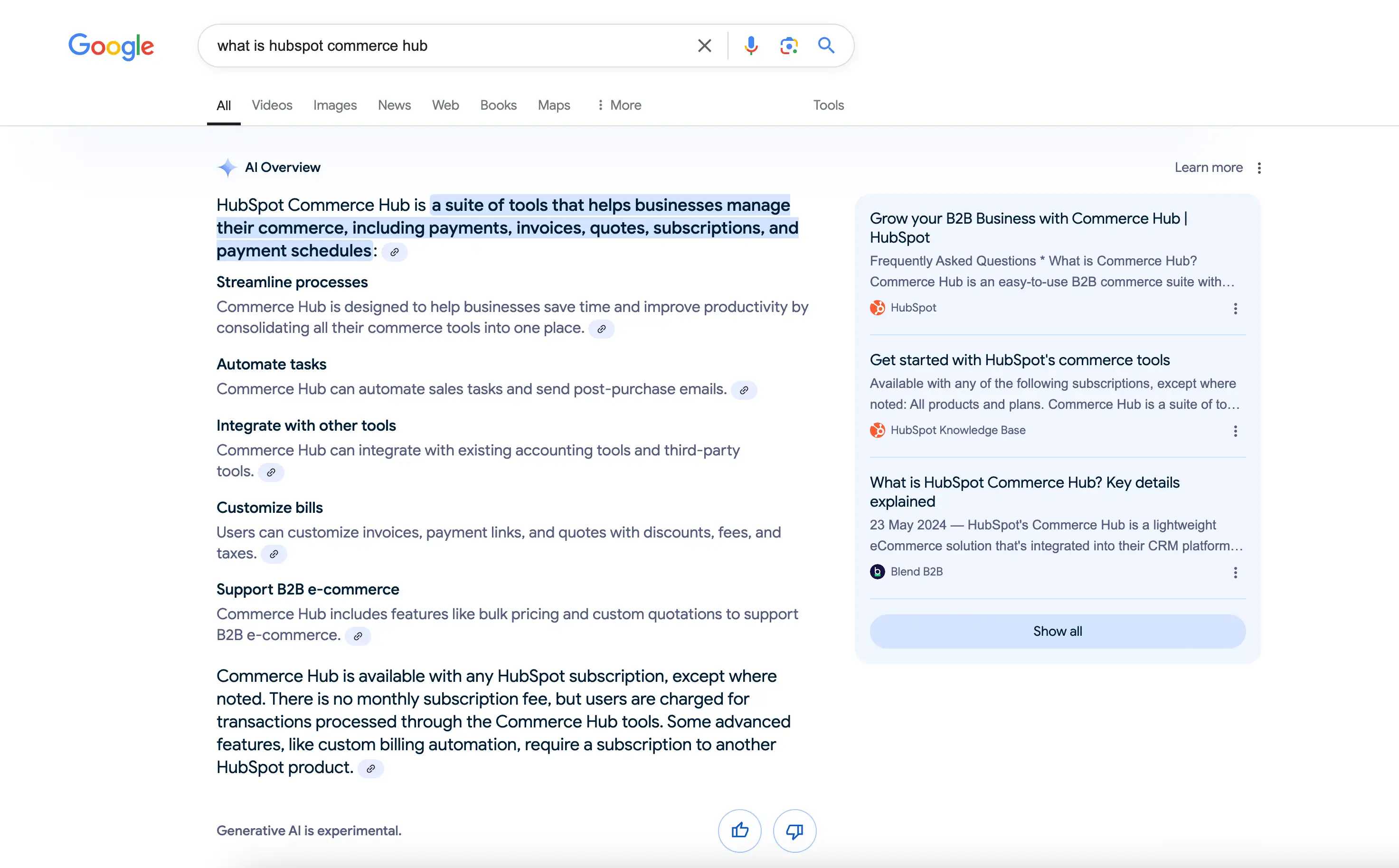 Google AI Overview Example